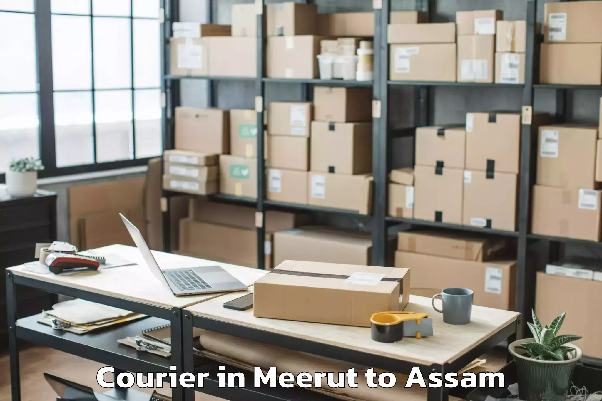 Book Meerut to Balapara Courier